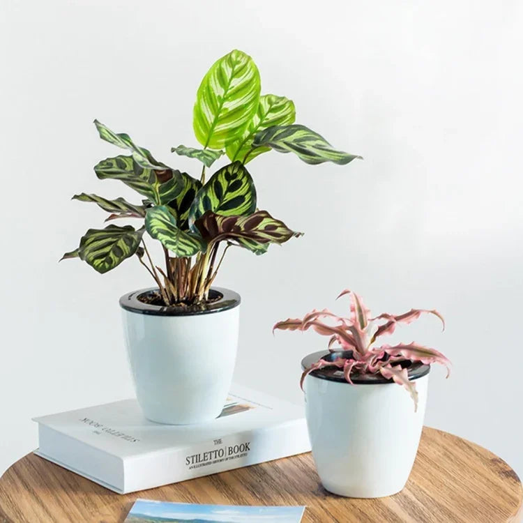 Vasos de Flores Automáticos Absorventes de Água para Plantas Hidropónicas, Vasos de Resina Plástica Circulares com Design de Dupla Camada, Autoirrigação, Diâmetro: 15cm, Altura: 15,5cm