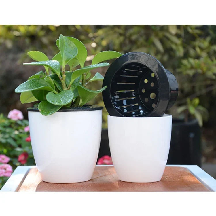 Vasos de Flores Automáticos Absorventes de Água para Plantas Hidropónicas, Vasos de Resina Plástica Circulares com Design de Dupla Camada, Autoirrigação, Diâmetro: 15cm, Altura: 15,5cm