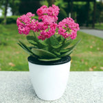 Vasos de Flores Automáticos Absorventes de Água para Plantas Hidropónicas, Vasos de Resina Plástica Circulares com Design de Dupla Camada, Autoirrigação, Diâmetro: 15cm, Altura: 15,5cm