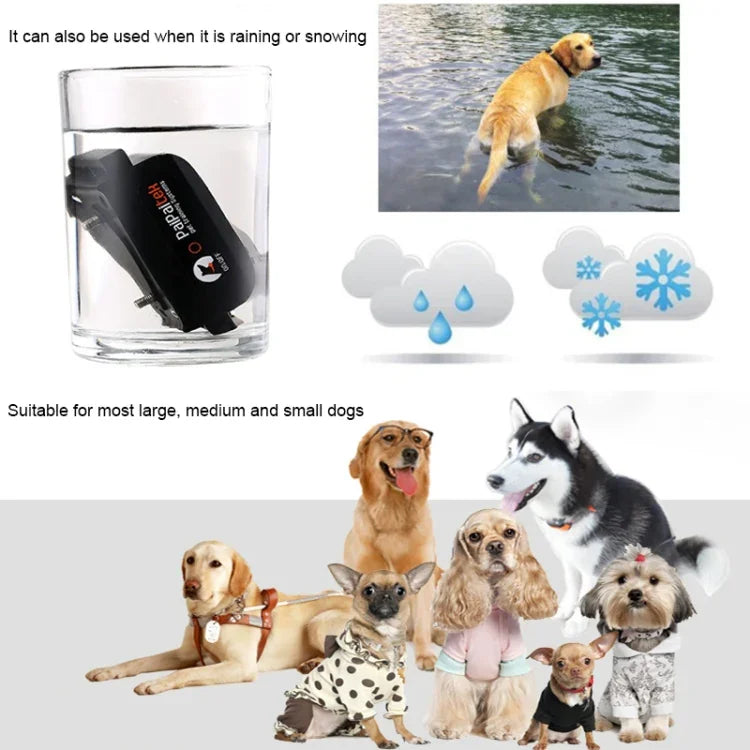 Colar Automático Anti-Latido Sistema de Controlo de Treino para Animais de Estimação + Colar em Pele PU com Choque Elétrico para Cães, PD525