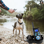 Colar Automático Anti-Latido Sistema de Controlo de Treino para Animais + Colar de Couro PU com Choque Elétrico para Cães, PD520