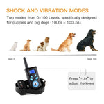 Colar Automático Anti-Latido Sistema de Controlo de Treino para Animais + Colar de Couro PU com Choque Elétrico para Cães, PD520
