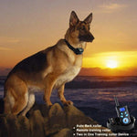 Colar Automático Anti-Latido Sistema de Controlo de Treino para Animais + Colar de Couro PU com Choque Elétrico para Cães, PD520