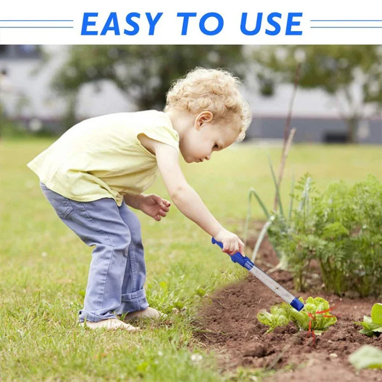 نص بديل للصورة