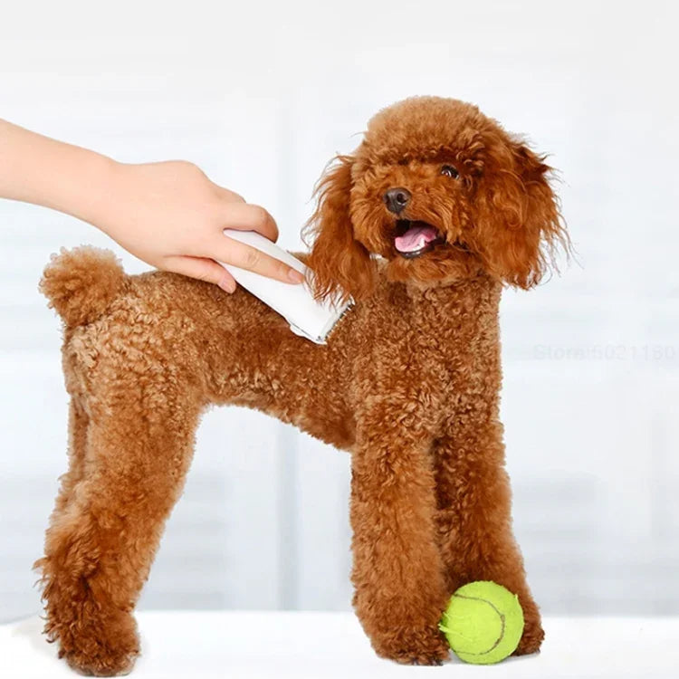 Máquina de Barbear Profissional Original Xiaomi Youpin Pawbby para Cães, Aparador Elétrico Recarregável de Segurança para Tratamento de Pelo, Máquina de Barbear Profissional Pawbby para Cães