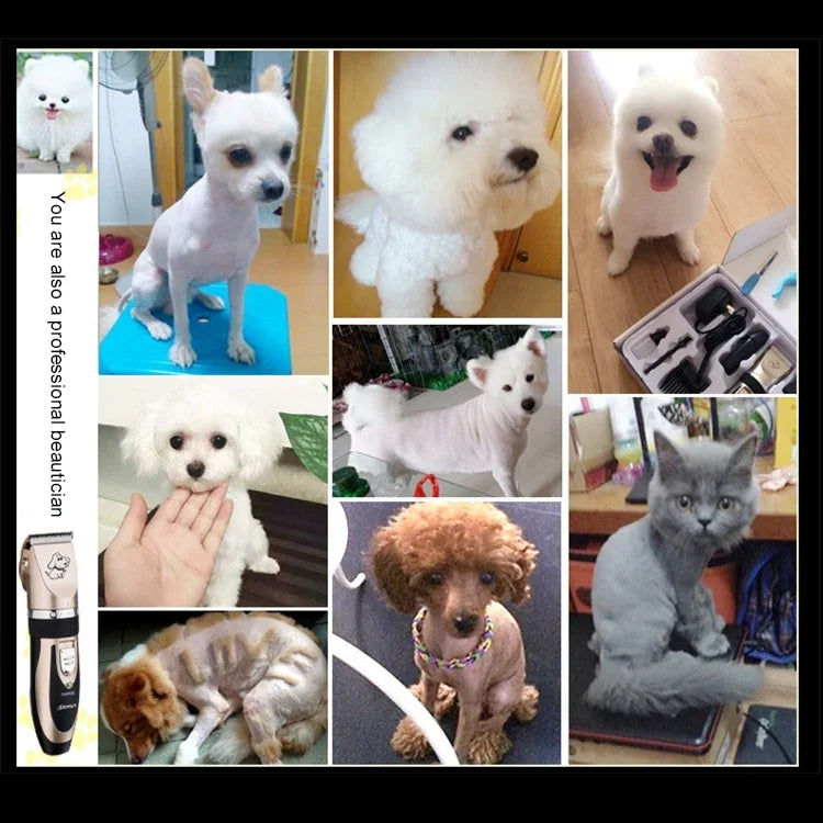 Tesoura Elétrica Profissional para Animais P2 110-240V com Lâminas de Cerâmica e Titânio, Máquina de Cortar Pelo para Animais com Quatro Pentes, Tesoura de Cerâmica e Titânio