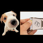 Tesoura Elétrica Profissional para Animais P2 110-240V com Lâminas de Cerâmica e Titânio, Máquina de Cortar Pelo para Animais com Quatro Pentes, Tesoura de Cerâmica e Titânio