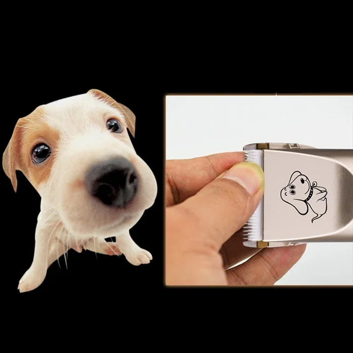 Tesoura Elétrica Profissional para Animais P2 110-240V com Lâminas de Cerâmica e Titânio, Máquina de Cortar Pelo para Animais com Quatro Pentes, Tesoura de Cerâmica e Titânio