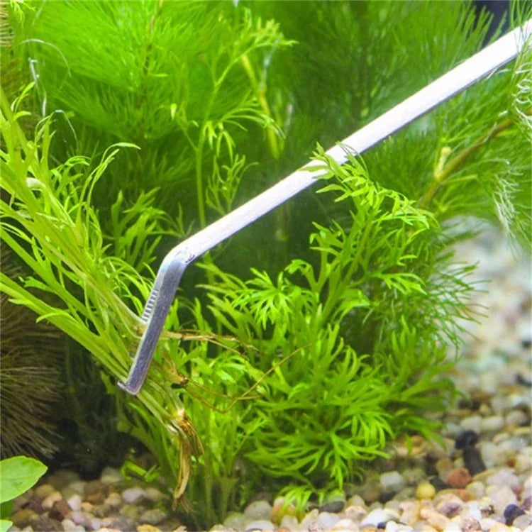 Tesoura, Pinça e Clipe 3 em 1 em Aço Inoxidável, Ferramentas de Poda para Miniaturas de Plantas, Grama e Paisagem de Aquário, Conjunto de 3 Peças