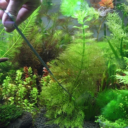 Tesoura, Pinça e Clipe 3 em 1 em Aço Inoxidável, Ferramentas de Poda para Miniaturas de Plantas, Grama e Paisagem de Aquário, Conjunto de 3 Peças