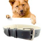 Coleira de Couro para Cão Produtos para Animais de Estimação Coleira para Cães Grandes, Tamanho: L, 2.5 * 51cm, Tamanho: L