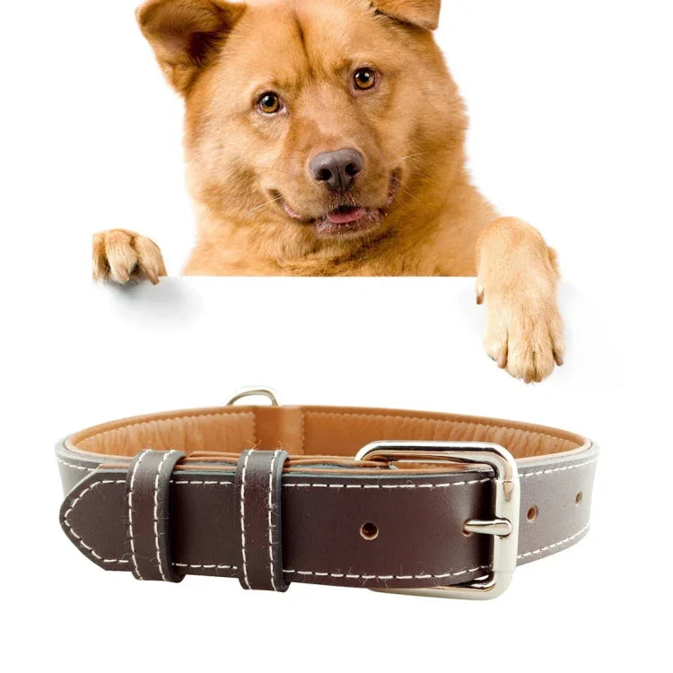 Coleira de Couro para Cão Produtos para Animais de Estimação Coleira para Cães Grandes, Tamanho: M, 2 * 42cm, Tamanho: M