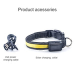 Coleira LED para Cão Médio e Grande com Carregamento Solar + USB, Circunferência do Pescoço: S, 35-40cm, Tamanho: S