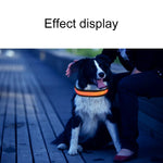 Coleira LED para Cão Médio e Grande com Carregamento Solar + USB, Circunferência do Pescoço: L, 50-60cm, Tamanho: L