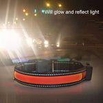 Coleira LED para Cão Médio e Grande com Carregamento Solar + USB, Circunferência do Pescoço: L, 50-60cm, Tamanho: L