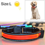 Coleira LED para Cão Médio e Grande com Carregamento Solar + USB, Circunferência do Pescoço: L, 50-60cm, Tamanho: L