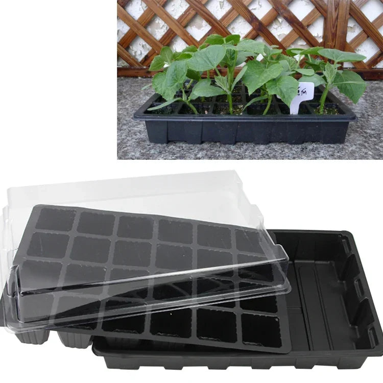 Tabuleiro para Mudas Prato para Germinação com 24 Furos Vasos de Viveiro Tampa Caixa para Jardinagem Bonsai Mini Estufa Prato de Viveiro Três Conjuntos, 2 PCS
