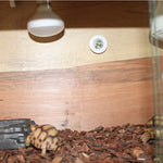 Termómetro e Higrómetro Digital Redondo para Caixa de Répteis com Ecrã