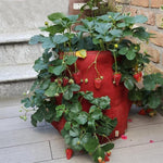 Saco de Plantação de Morangos em Feltro Não Tecido com 6 Bolsos 26L / 7 Galões, Tamanho: 30X35cm
