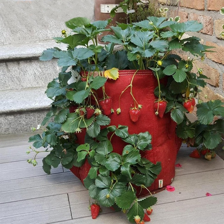 Saco de Plantação de Morangos em Feltro Não Tecido com 6 Bolsos 26L / 7 Galões, Tamanho: 30X35cm