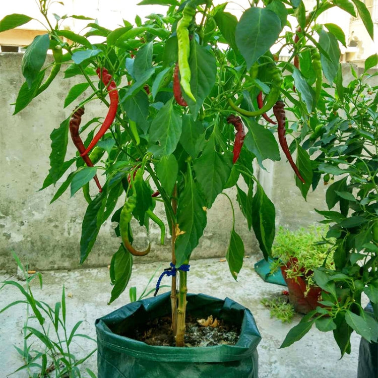 Saco de Plantação de Morangos em Feltro Não Tecido com 6 Bolsos 26L / 7 Galões, Tamanho: 30X35cm