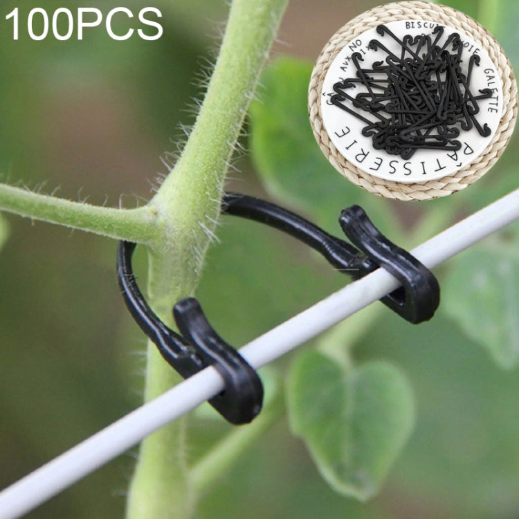 100 PCS / 2 Pacotes Fitas de Amarração para Videira de Jardim, 100 PCS / 2 Pacotes
