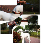 Trela de Tração para Cães em Nylon Reflector, Respirável e Portátil, Tamanho: M, Intervalo Ajustável: 2.5*(100-140cm), Tamanho: M, Intervalo Ajustável: 2.5*(100-140cm)