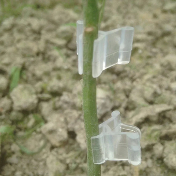 100 Peças de Clips de Enxertia de Plástico para Jardinagem, Clips Transparentes para Enxertia de Plantas, Clips para Enxertia de Tomate, Clips para Enxertia de Plantas