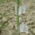 100 Peças de Clips de Enxertia de Plástico para Jardinagem, Clips Transparentes para Enxertia de Plantas, Clips para Enxertia de Tomate, Clips para Enxertia de Plantas