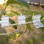 100 Peças de Clips de Enxertia de Plástico para Jardinagem, Clips Transparentes para Enxertia de Plantas, Clips para Enxertia de Tomate, Clips para Enxertia de Plantas