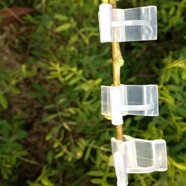 100 Peças de Clips de Enxertia de Plástico para Jardinagem, Clips Transparentes para Enxertia de Plantas, Clips para Enxertia de Tomate, Clips para Enxertia de Plantas