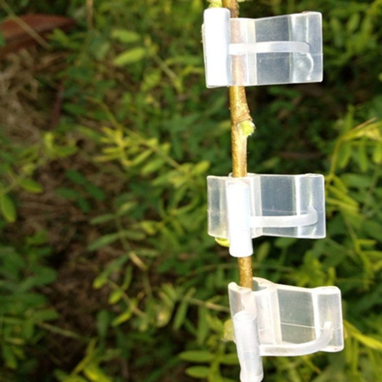 100 Peças de Clips de Enxertia de Plástico para Jardinagem, Clips Transparentes para Enxertia de Plantas, Clips para Enxertia de Tomate, Clips para Enxertia de Plantas