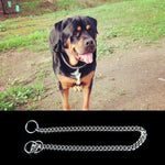 Corrente P para Animais 55cm Coleiras para Animais Correia de Pescoço para Cão Colar de Cobra Corrente para Cão, 55cm