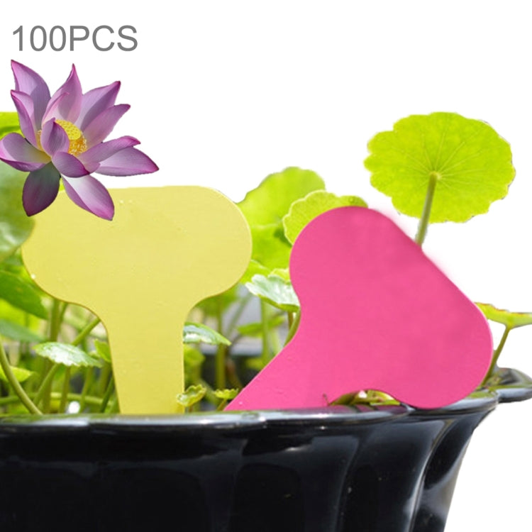 100PCS Etiquetas Florais Etiquetas de Jardinagem Etiquetas Pequenas Impermeáveis Cartão Inserto Etiqueta para Vaso, Entrega de Cor Aleatória, Etiqueta para Plantas 3