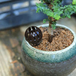 10PCS Ferramentas para Bonsai Produtos de Jardinagem Caixas de Fertilizante para Bonsai, Tamanho Grande: 5.5*4*4cm, Tamanho: L 5.5*4*4cm, Tamanho: L 5.5*4*4cm Verde