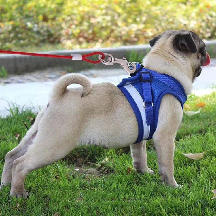Trela 2 em 1 para Cães com Corda de Aço de Duas Pontas e Pegador, Comprimento: 3m, Entrega em Cor Aleatória, Comprimento: 3m