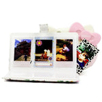 Padrão de Cacto Flamingo Álbum de Fotos Exquisito de 32 Páginas Tipo Inserção Criativa DIY PU Mini 3 polegadas para Polaroid, Cacto Flamingo