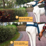 Peitoral Refletor A7 em Poliéster para Cães Grandes com Trela de Tração e Corrente de Segurança, Tamanho: XS, 2.0*42*50cm, Tamanho: XS, 2.0*42*50cm