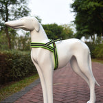 Peitoral Refletor A7 em Poliéster para Cães Grandes com Trela de Tração e Corrente de Segurança, Tamanho: XS, 2.0*42*50cm, Tamanho: XS, 2.0*42*50cm