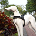 Peitoral Refletor A7 em Poliéster para Cães Grandes com Trela de Tração e Corrente de Segurança, Tamanho: S, 2.0*50*62cm, Tamanho: S, 2.0*50*62cm