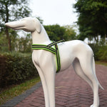 Peitoral Refletor A7 em Poliéster para Cães Grandes com Trela de Tração e Corrente de Segurança, Tamanho: S, 2.0*50*62cm, Tamanho: S, 2.0*50*62cm
