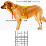 Trela de Tração para Animais em Poliéster Reflector, Respirável, Coleira para Animais, Tamanho: S, 2.0*35*40cm, Tamanho: S, 2.0*35*40cm