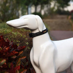 Trela de Tração para Animais em Poliéster Reflector, Respirável, Coleira para Animais, Tamanho: S, 2.0*35*40cm, Tamanho: S, 2.0*35*40cm