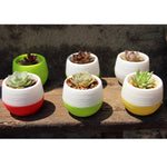 Vasos de Planta Coloridos Mini Redondos de Plástico para Jardim, Casa e Escritório, Vasos de Viveiro com Reservatório de Água, Entrega de Cor Aleatória, Vaso de Flor 3