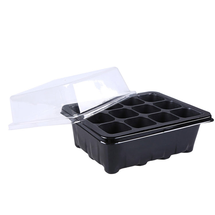 Texto alternativo da imagem