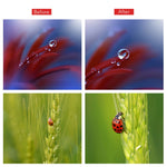 Kit de lente macro telefoto APEXEL APL-HB10X com filtro de luz estelar e lente CPL, APL-HB10X