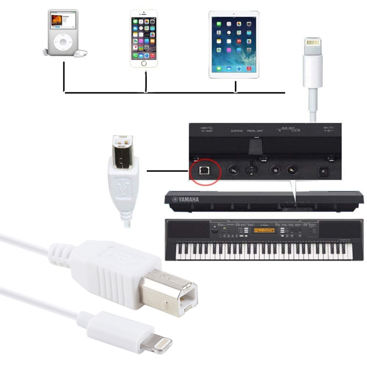 Cabo Piano / Piano Eletrónico MIDI Adaptador 1m 8 Pinos para Tipo-B Macho, 8 Pinos