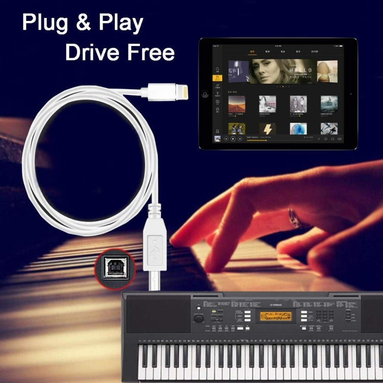 Cabo Piano / Piano Eletrónico MIDI Adaptador 1m 8 Pinos para Tipo-B Macho, 8 Pinos