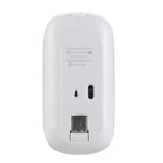 HXSJ M80 Rato Óptico Sem Fios 2.4GHz 1600DPI Ajustável em Três Velocidades e Silencioso, Dourado, Rosa Dourado, Prateado, Branco, Preto, Cinzento