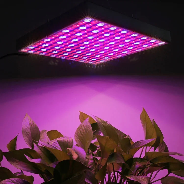 225 LEDs Luz para Estufa Luz para Aquário, CA 85-265V, 45W/SMD 2835